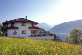 Haus Nikola Telfes Im Stubai